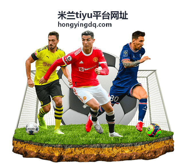 米兰tiyu平台网址入口核对步骤示意图